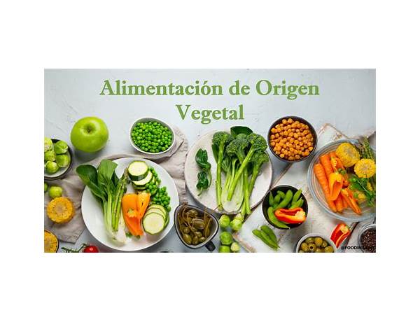 Alimentos Y Bebidas De Origen Vegetal  Bebidas  Bebidas De Origen Vegetal  Bebidas A Base De Frutas  Zumos Y Néctares  Zumos De Frutas  Zumos De Naranja, musical term