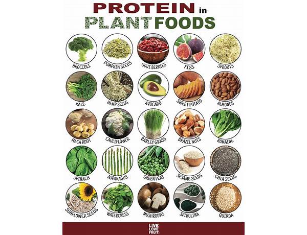 All plants protein food facts