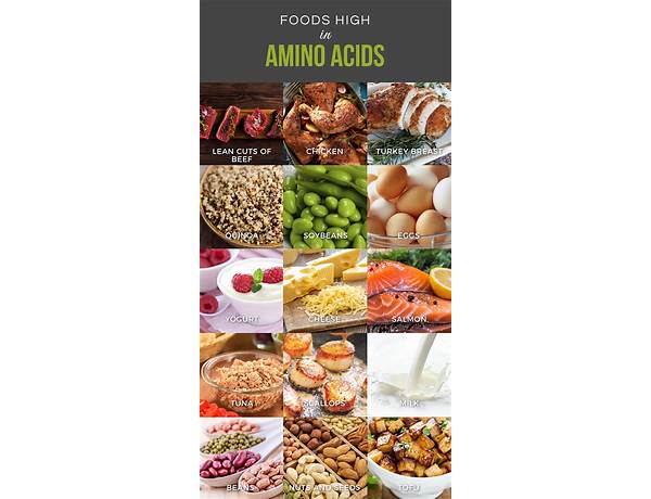 Amino recovery food facts