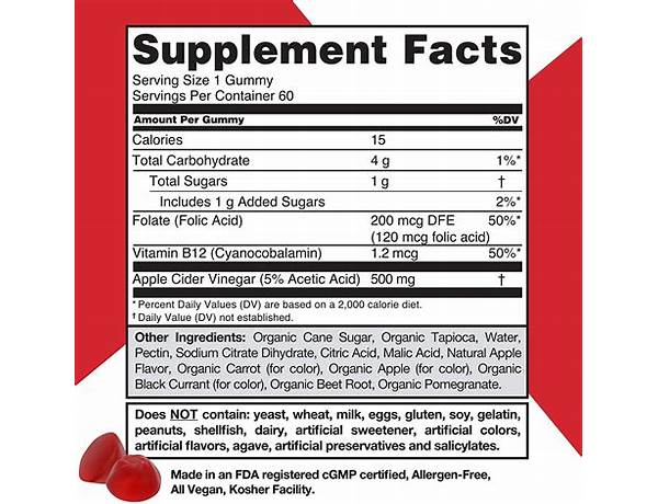 Apple cider vinegar gummy vitamins ingredients