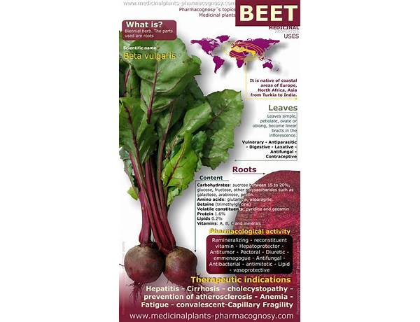 Baby beets food facts