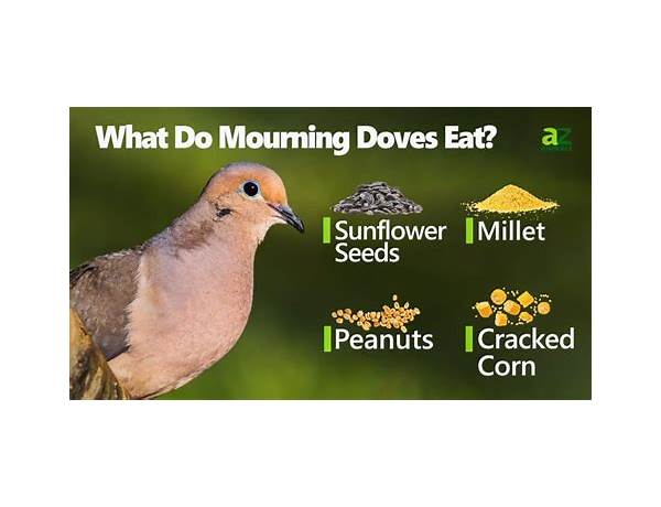 Baby dove food facts