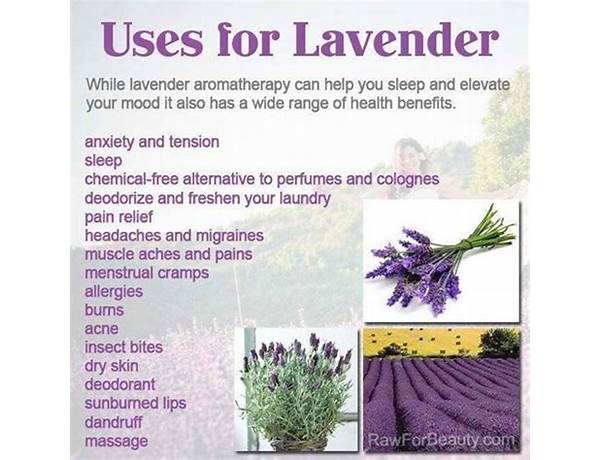 Balm stick lavender food facts