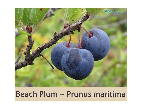 Beach plum food facts