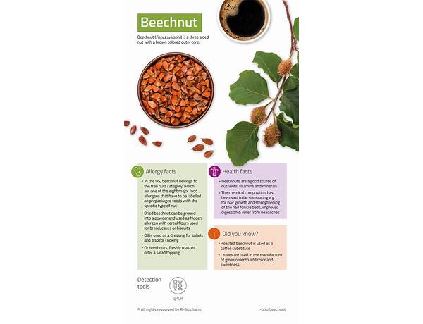 Beech-nut food facts