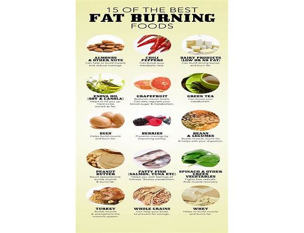 Belly fat burner nutrition facts