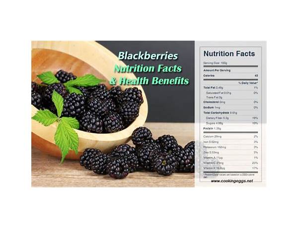 Blackberry sauce nutrition facts