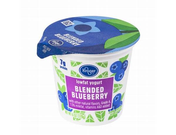 Blended blueberry lowfat yogurt food facts