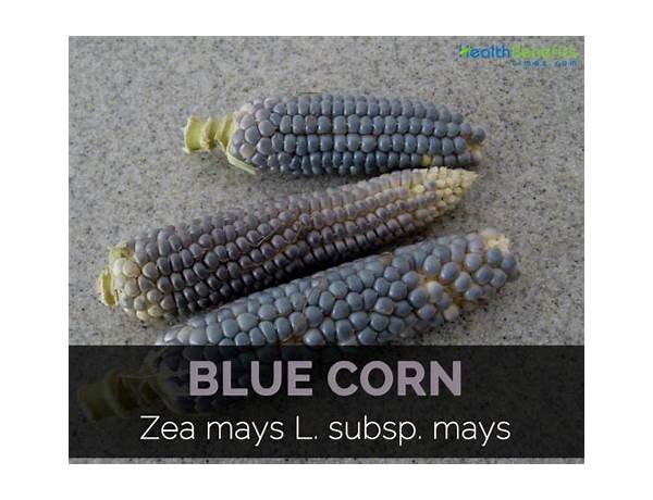 Blue corn food facts