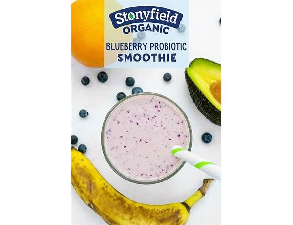 Blueberry banana probiotic smootie ingredients