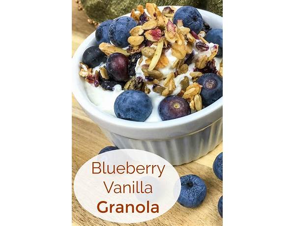 Blueberry vanilla granola ingredients