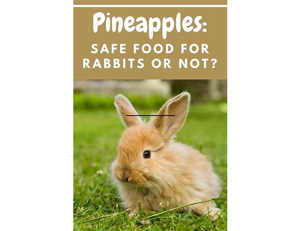 Bunny fruit nutrition facts