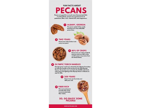 Butter pecan food facts