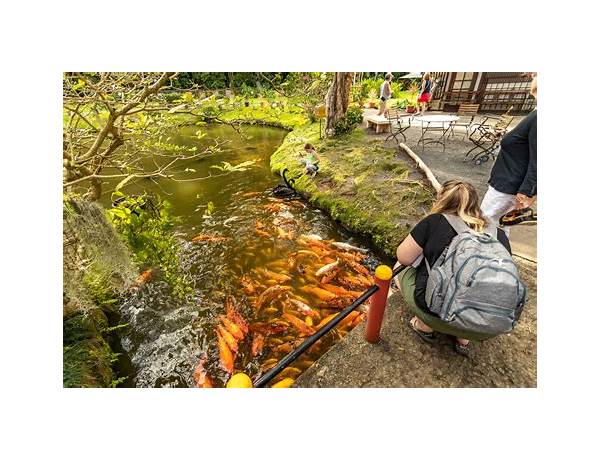 Byodo, musical term