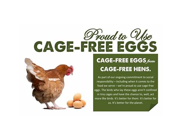 Cage free eggs food facts