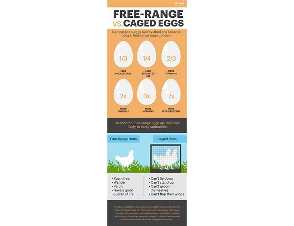 Cage free farm fresh eggs food facts