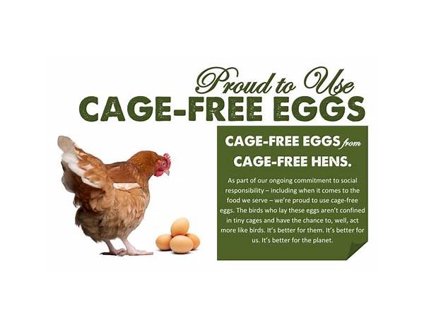 Cage free farm fresh eggs ingredients