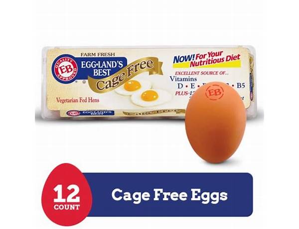 Cage free large eggs ingredients