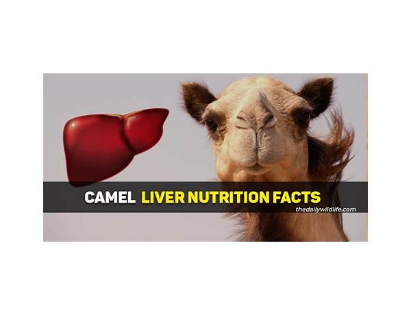 Camel nutrition facts