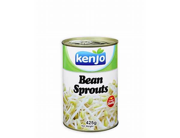 Canned Mung Bean Sprouts, musical term