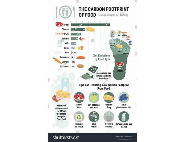 Carbon Footprint, musical term