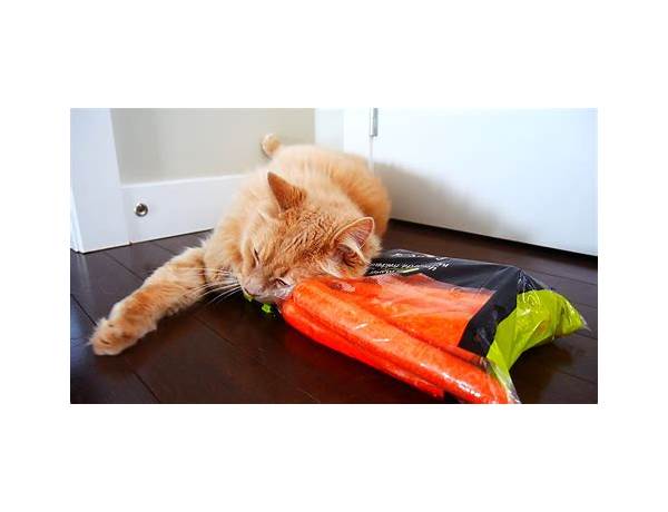 Carrot cat - food facts