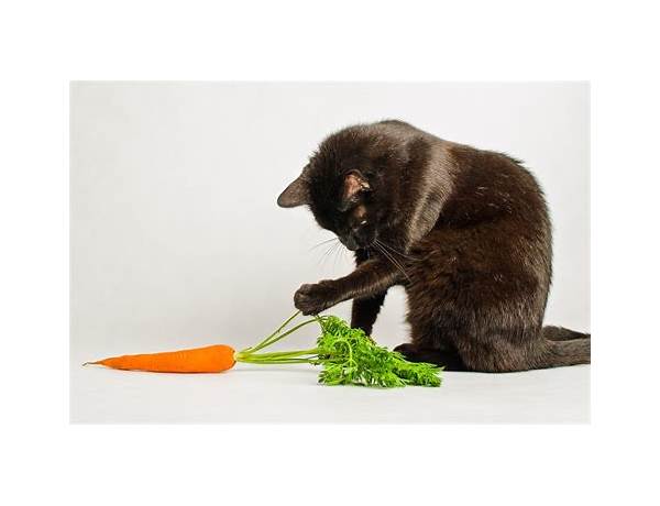 Carrot cat - ingredients