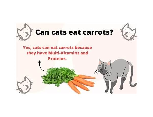 Carrot cat food facts