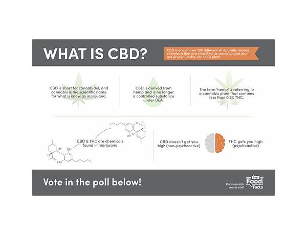 Cbd oil food facts