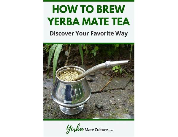 Cbd yerba mate tea drink ingredients