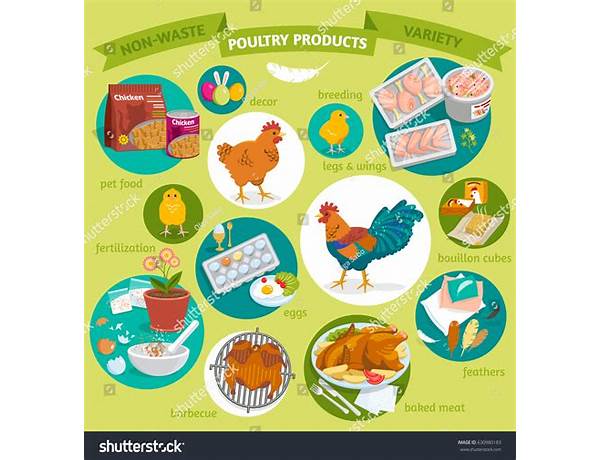 Chicken And Its Products, musical term
