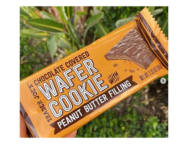 Chocolate covered wafer cookie with peanut butter filling food facts