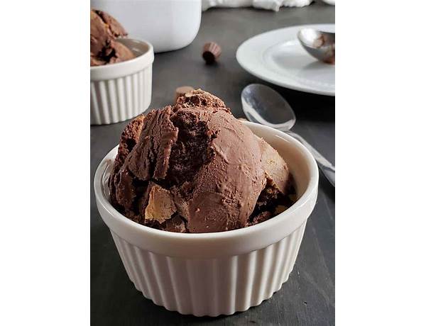 Chocolate peanut butter swirl ice cream food facts