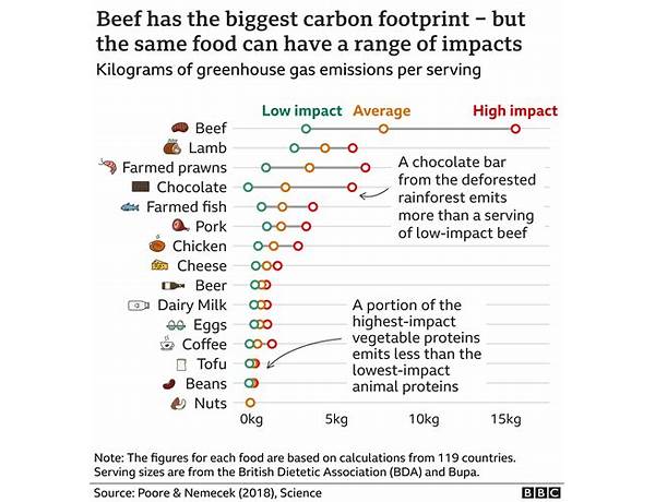 Climate-neutral-ceritfied, musical term