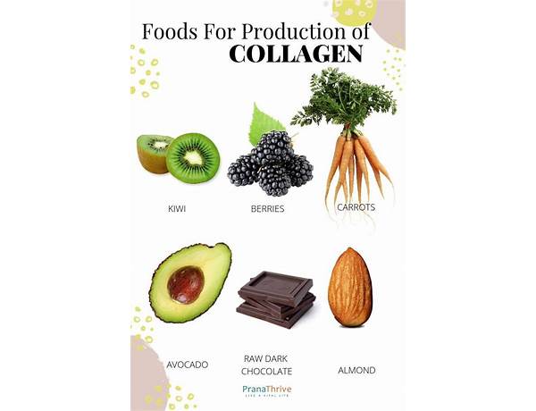 Collagen shots food facts