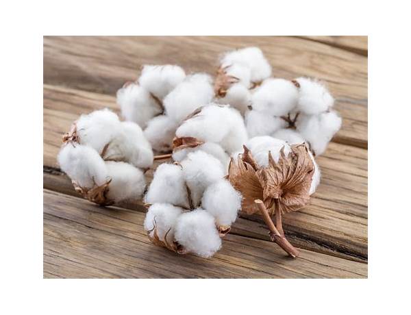 Cotton original ovale ingredients