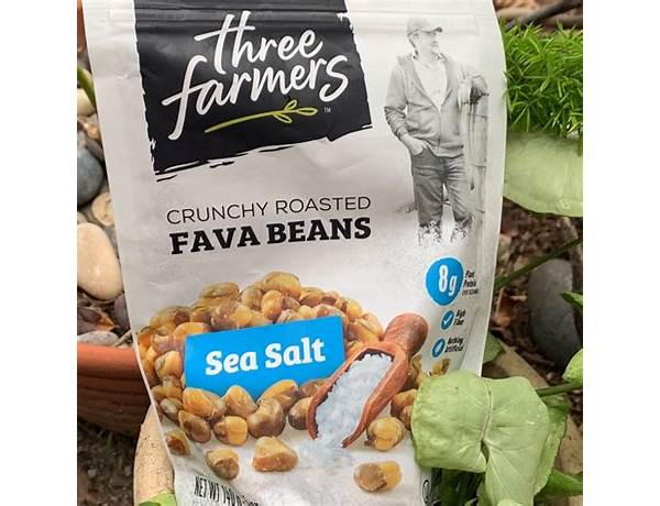 Crunchy roasted fava beans sea salt food facts