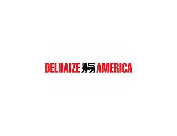 Delhaize America  Inc., musical term