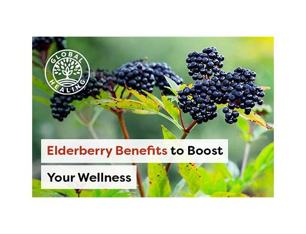 Elderberry welness boost food facts
