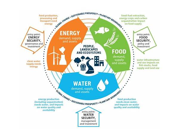 Energy water food facts