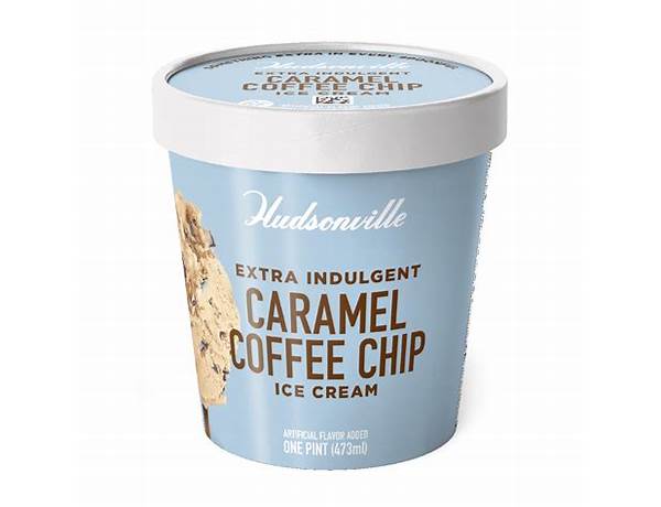 Extra, intelligent, caramel, coffee, chip ice cream ingredients