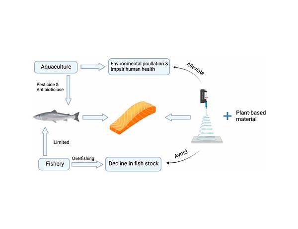 Fish Analogues, musical term