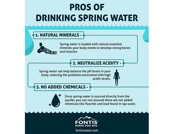 Fontis mountain spring water nutrition facts