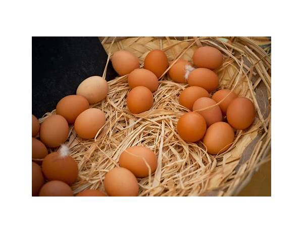 Free-range Chicken Eggs, musical term