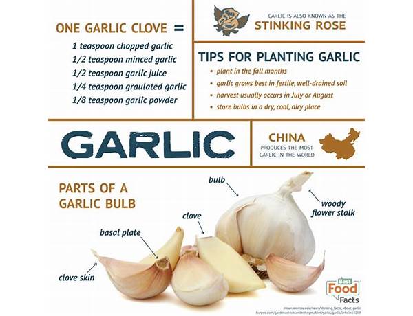 Fresh garlic food facts