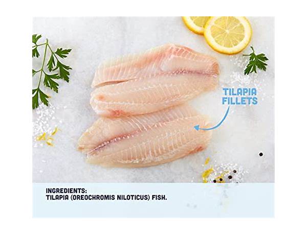 Fresh tilapta fillet farm raised food facts