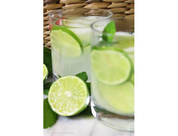 Freshly squeezed limeade ingredients