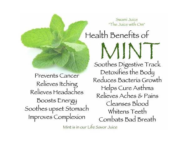 Garden mint juice drink food facts