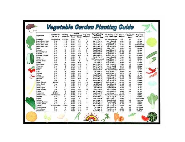 Garden vegetable food facts