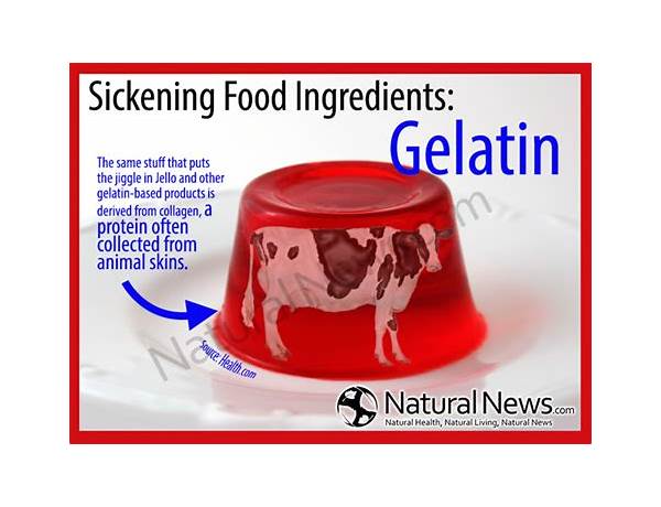 Gelatin ingredients